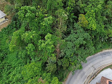 Terreno - Venda - Velha - Blumenau - SC